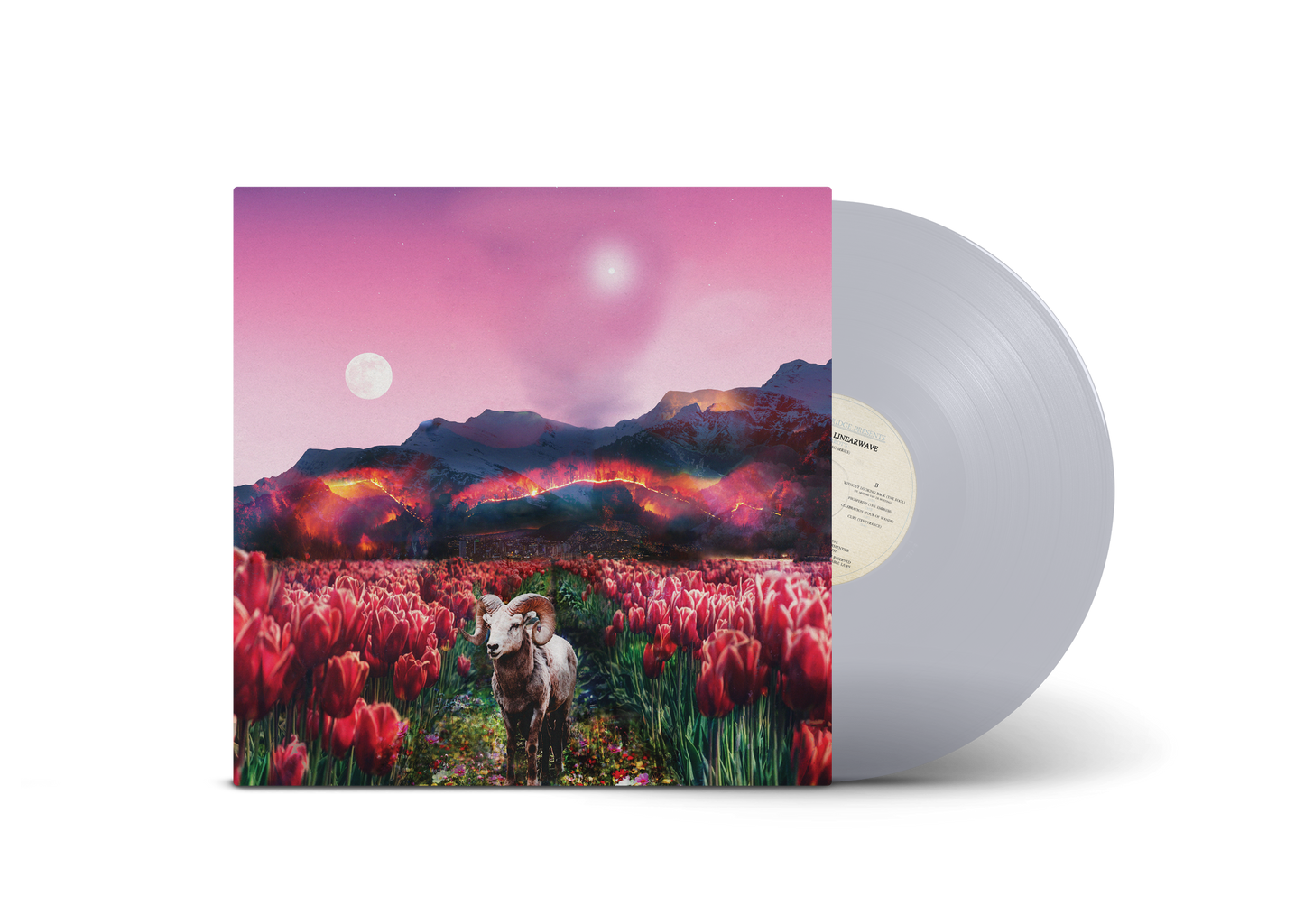 Broey. & Linearwave - Tarot's (Vinyl)