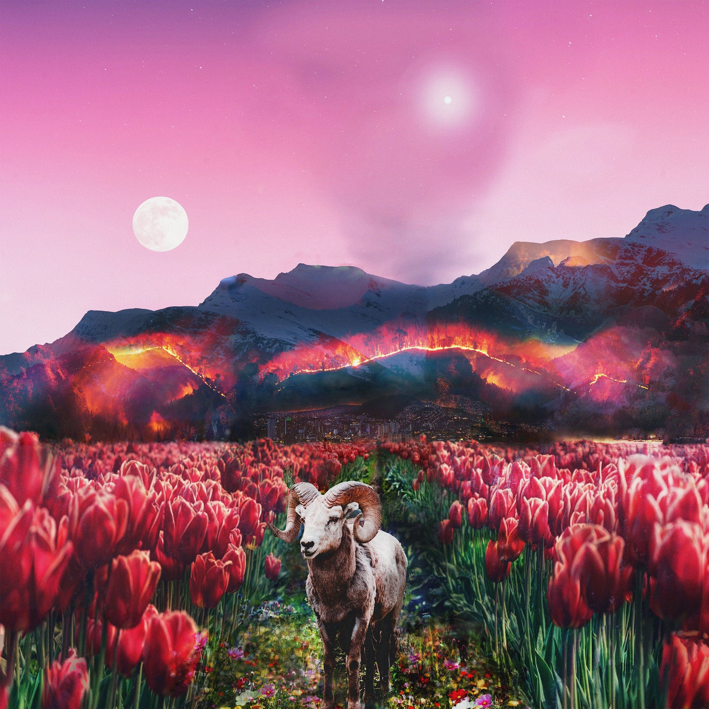 Broey. & Linearwave - Tarot's