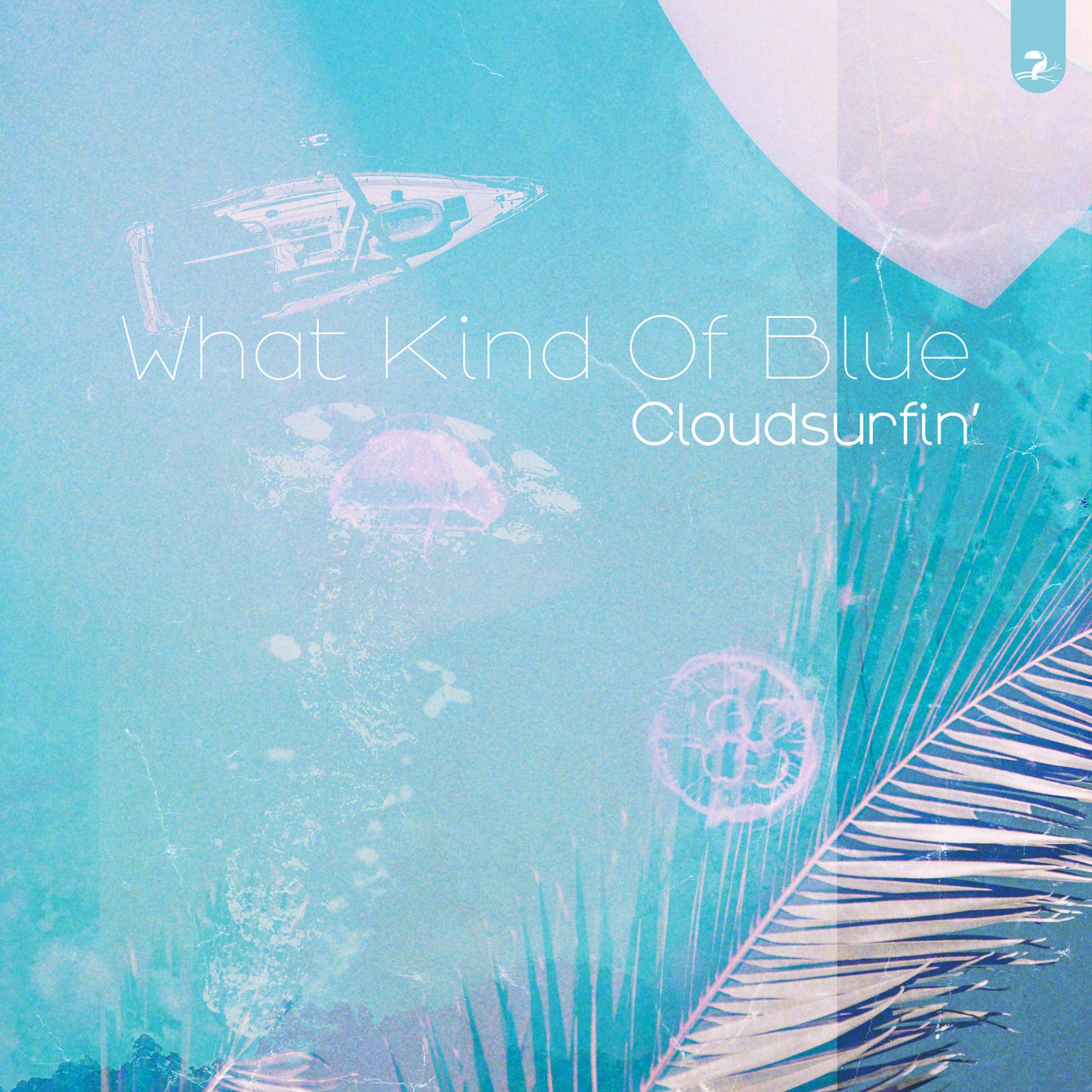 Cloudsurfin' - What Kind Of Blue