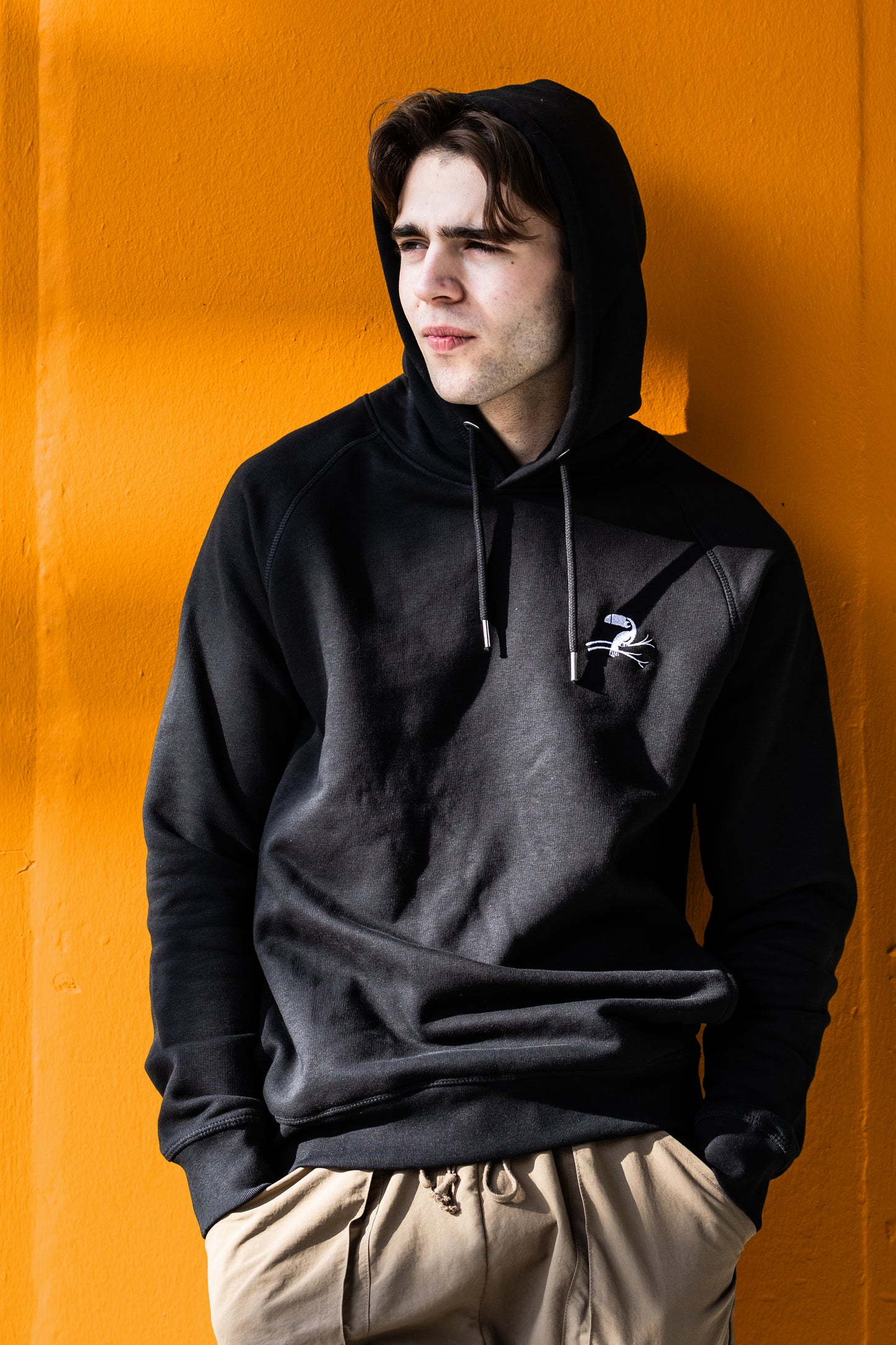 Aviary Classic Toucan Logo Hoodie
