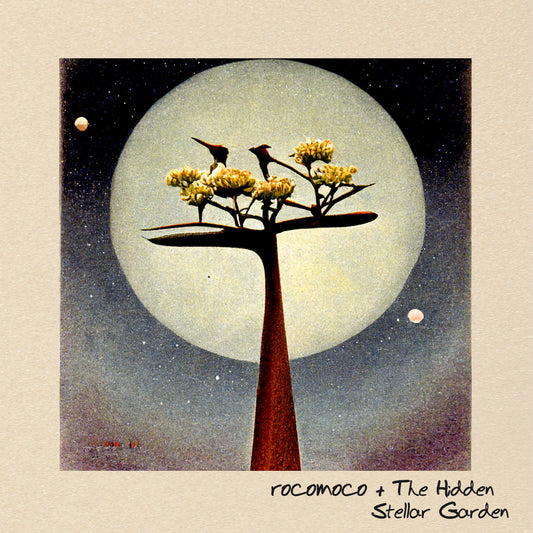rocomoco & The Hidden - Stellar Garden